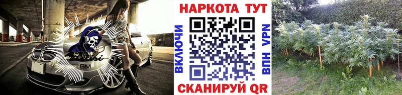 Где найти наркотики Гаджиево ГАШ Амфетамин СК Мефедрон Кокаин Бошки Шишки