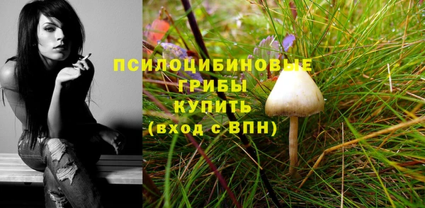 первитин Володарск