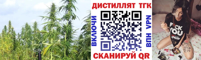 МЕГА ссылки  Гаджиево  Дистиллят ТГК THC oil 